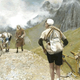 Illustration for article titled 101 Years of Tour de France Bikes Map the Evolution of Cycling